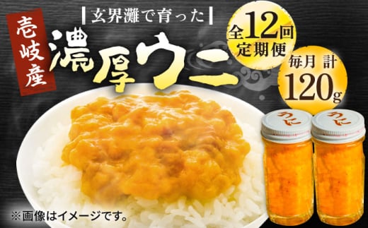 【全12回定期便】壱岐産 濃厚 ウニ 60g ×2本《壱岐市》【合同会社塚元】ムラサキウニ 海産物 海鮮 うに 雲丹 珍味 [JDR036] 2114676 - 長崎県壱岐市
