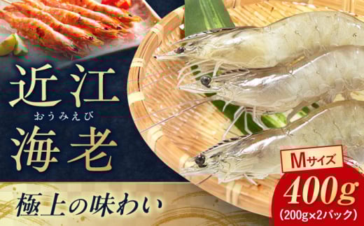 近江海老 Mサイズ 400g 滋賀県長浜市/ワボウ電子株式会社 [AQBA012] エビ 海老 えび 海鮮 魚介類 魚貝類 魚介 甲殻類 下処理不要 冷凍 業務用 小分け 国産 お弁当 刺身 刺し身 エビフライ エビチリ エビマヨ バーベキュー BBQ