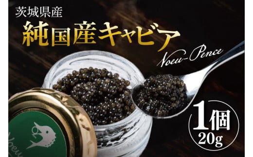 【先行予約】【12月上旬~中旬発送】【県内共通返礼品】純国産キャビアVoeu-Pence 20ｇ×1個【数量限定 茨城県河内町】(78-01)