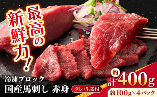【フジチク】 国産 馬刺し 赤身 約100g×4個（計約400g）タレ付き 馬 馬肉 肉 熊本県 【亀井通産 株式会社】 [AYBQ044] 2114899 - 熊本県合志市