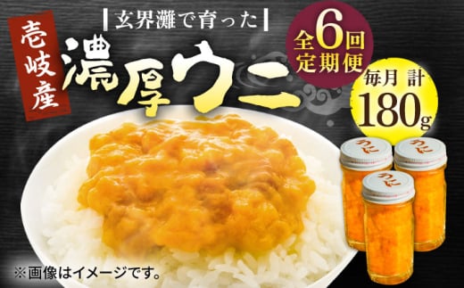 【全6回定期便】壱岐産 濃厚 ウニ 60g ×3本《壱岐市》【合同会社塚元】ムラサキウニ 海産物 海鮮 うに 雲丹 珍味 [JDR039] 2114679 - 長崎県壱岐市