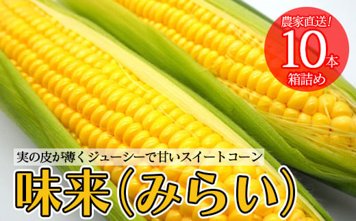 農家直送！とうもろこし　プレミアム味来　10本箱詰め　【11218-0926】