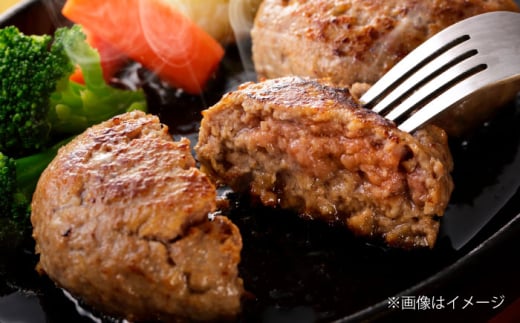 馬肉ハンバーグ 約150g×10個 計約1.5kg【阿蘇牧場】 [AYBX069] 2114946 - 熊本県合志市