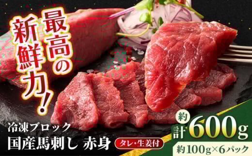 【フジチク】国産 馬刺し 赤身 約100g×6個（計約600g）タレ付き 馬 馬肉 肉 熊本県 【亀井通産 株式会社】 [AYBQ047] 2114901 - 熊本県合志市