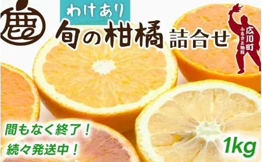 柑橘 詰合せ 1kg+30g 訳あり 光センサー / みかん 不知火 清見 八朔 伊予間 セミノール レモン ３種類以上 詰め合わせ 晩柑 ※1月上旬〜6月下旬に順次発送 ※北海道・沖縄・離島への配送不可【ikd049-c-1】 2115411 - 和歌山県広川町