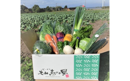 新鮮朝採れ野菜 お手頃セット 2115438 - 鳥取県米子市
