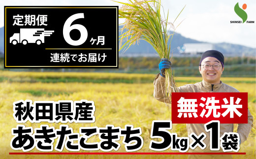 新米先行受付 【定期便6ヶ月】秋田県産あきたこまち(無洗米)5kg 450P9205　/ 米 無洗米 5kg 白米 令和7年産 秋田県産 あきたこまち 5kg×1袋 おにぎり 大館 東北 秋田 小分け こわけ 大館市 5キロ 5ｷﾛ 5きろ