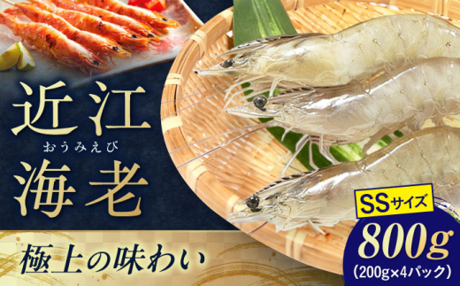 近江海老 SSサイズ 800g 滋賀県長浜市/ワボウ電子株式会社 [AQBA006]