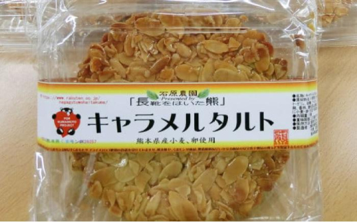 [数量限定]キャラメルタルト・木の実のフルーツケーキ(パウンドケーキ) 各1個 計2個セット[有限会社さんふれあ] [BHAK015]