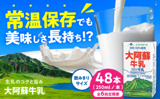 【全6回定期便】大阿蘇牛乳 ロングライフ 250ml 48本（12本入り×4ケース） 12L【合同会社 福福堂】 [AYAC059]
