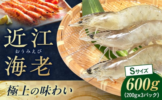 近江海老 Sサイズ 600g 滋賀県長浜市/ワボウ電子株式会社 [AQBA009] エビ 海老 えび 海鮮 魚介類 魚貝類 魚介 甲殻類 下処理不要 冷凍 業務用 小分け 国産 お弁当 刺身 刺し身 エビフライ エビチリ エビマヨ バーベキュー BBQ