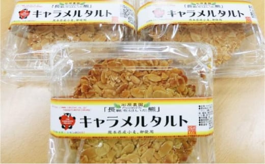 【数量限定】手作りキャラメルタルト 5個セット (約直径15cm×5)【有限会社さんふれあ】 [BHAK014] 2115242 - 熊本県菊陽町