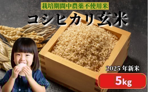 【2025年9月順次発送】 栽培期間中農薬不使用 コシヒカリ玄米 5kg 玄米 米 化学肥料不使用 新米 こめ 健康 ご飯 ダイエット 栄養豊富 ビタミン ミネラル 小松島市 2115802 - 徳島県小松島市