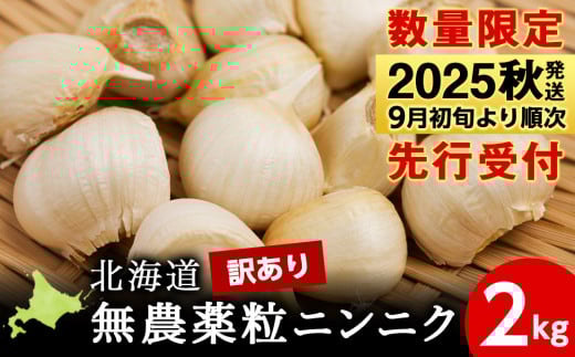 【数量限定】訳あり無農薬粒ニンニク2kg（500g×4袋）バラ 粒 無農薬 にんにくガーリック