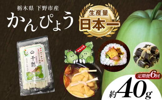 【定期便6回】下野ブランド 下野市産かんぴょう 約40g×1袋 | 定期便 かんぴょう かんぴょう生産日本一 干瓢 野菜 乾物 栃木県 下野市 特産品