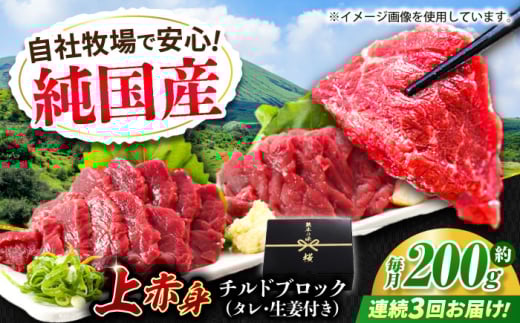 【全3回定期便】『純国産』熊本の味 上赤身 馬刺し 約200g ブロック チルド 冷蔵 タレ付き【有限会社 九州食肉産業】 [AYCN039]