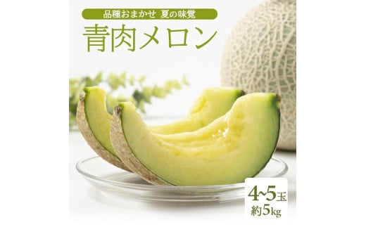 SB0689　庄内砂丘 『品種おまかせ青肉メロン』　約5kg(4～5玉入)