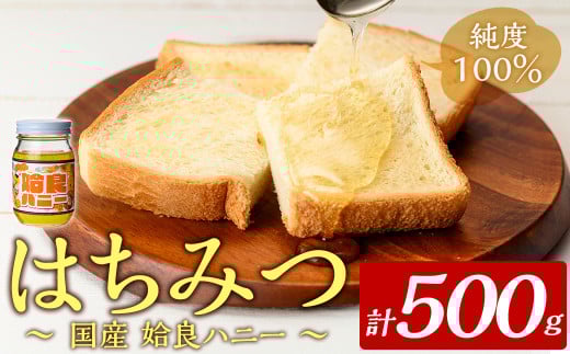 a1002-B 《期間限定！2025年4月下旬～10月中旬の間に発送予定》姶良ハニー(500g)【原電設工業】 姶良市 国産 ハチミツ はちみつ 蜂蜜 百花蜜 蜜 常温 常温保存 2003516 - 鹿児島県姶良市