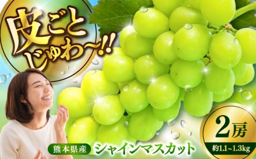 [限定数量][2025年8月下旬発送開始]シャインマスカット 約1.1kg~1.3kg 合計2房 / しゃいんますかっと 新鮮 種なし フルーツ 果物 ギフト 熊本県 菊陽町 [りとる農房] [BHBO001]