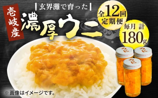 【全12回定期便】壱岐産 濃厚 ウニ 60g ×3本《壱岐市》【合同会社塚元】ムラサキウニ 海産物 海鮮 うに 雲丹 珍味 [JDR040]