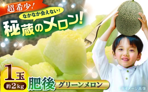 【先行予約】【数量限定】肥後グリーンメロン 1玉 計約2kg 【合同会社 福福堂】 [AYAC053]