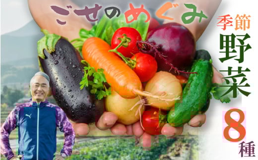 【冷蔵】（水曜日発送）季節のこだわり野菜セット ／ 奥野ファーム大和 季節野菜 有機肥料 奈良県 御所市 2115950 - 奈良県御所市