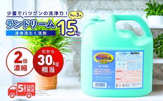 濃縮洗濯洗剤 ランドリーム 5kg (5kg×1個) or 15kg (5kg×3個) 詰め替え | 洗濯 洗剤 液体 洗濯用洗剤 洗濯用 環境配慮 詰替え 詰め替え用 大容量 衣類洗剤 衣類用洗剤 液体洗剤 業務用洗剤 日常品 洗浄 エコ洗剤 泡切れが良い ランドリー 柔軟剤 店舗用 エコ すすぎ1回 節水 節約 茨城県 龍ケ崎市