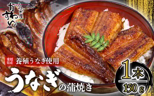 【容量選択可】〈うなぎ屋かわすい〉愛媛県松山市養殖うなぎを使用！うなぎ蒲焼 1本 (1尾：150～169g)  ｜うなぎ ウナギ 鰻 蒲焼き 国産 お取り寄せ グルメ ふるさと納税  簡単調理 土用丑の日 ギフト 贈り物 お中元 お歳暮 母の日 父の日  かわすい 川口水産 愛媛県 松山市 2120197 - 愛媛県松山市