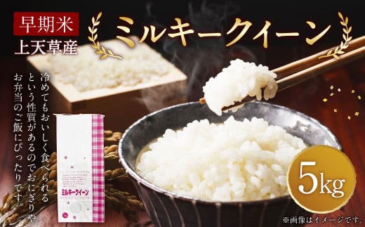 早期米 令和7年産 上天草産 ミルキークイーン 5kg 米 お米 精米 白米 うるち精米【2025年8月下旬-10月上旬配送予定】