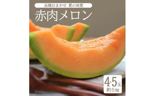 SB0690　庄内砂丘 『品種おまかせ赤肉メロン』　約5kg(4～5玉入)