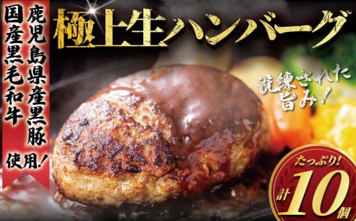 国産 黒毛和牛 鹿児島県産 黒豚 ハンバーグ 10個 セット A4 A5ランク 使用 計1.2kg 手作り Hamburg はんばーぐ 惣菜 冷凍 和牛 豚肉 牛肉 ぶたにく ぎゅうにく ブランド牛 ブランド豚 肉汁 beef 人気 夕食 おかず 小分け 便利 簡単調理 焼くだけ タカギフーズ 神奈川 湘南 藤沢 2120684 - 神奈川県藤沢市