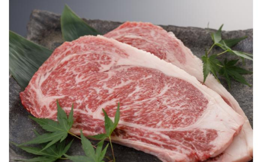【全3回定期便】肥後の赤牛 ロースステーキ 約500ｇ【阿蘇牧場】 [AYBX093] 2114964 - 熊本県合志市