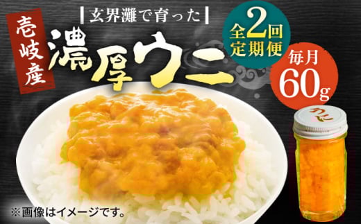 【全2回定期便】壱岐産 濃厚 ウニ60g《壱岐市》【合同会社塚元】ムラサキウニ 海産物 海鮮 ウニ うに 雲丹 珍味 [JDR029] 2114669 - 長崎県壱岐市