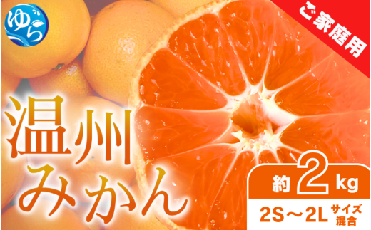 【先行予約】家庭用 温州みかん 約2kg ※2025年11月中旬頃～2025年12月中旬頃に順次発送 / 農家直送 くだもの  果実  柑橘 果物 フルーツ 国産 和歌山県 由良町 ご家庭用 人気 おすすめ【nktn016】 2115928 - 和歌山県由良町