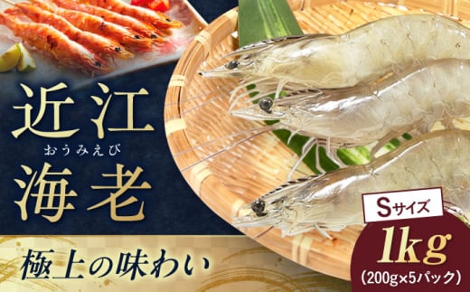 近江海老 Sサイズ 1kg 滋賀県長浜市/ワボウ電子株式会社 [AQBA011] エビ 海老 えび 海鮮 魚介類 魚貝類 魚介 甲殻類 下処理不要 冷凍 業務用 小分け 国産 お弁当 刺身 刺し身 エビフライ エビチリ エビマヨ バーベキュー BBQ