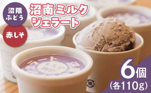 [ふるさと納税]沼南ミルクジェラート 沼隈ぶどう&赤しそ 各3個 食べ比べセット アイス ぶどう 赤しそ アイス アイスクリーム デザート スイーツ ご当地 広島県福山市/甚ごろう [BAEC045]
