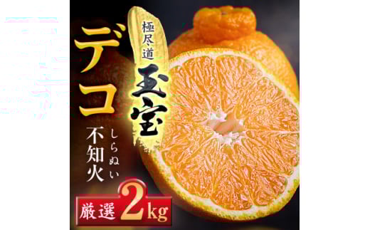 ＜愛媛名産＞玉宝デコ(不知火)　2kg＜A64-83＞【1623966】 2116253 - 愛媛県八幡浜市