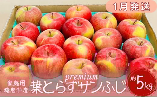 【1月発送】訳あり 家庭用 プレミアム葉とらずサンふじ蜜入り～葉とらずの奇跡～ 約5kg【糖度14度保証】【青森りんご・マルコウアップル】