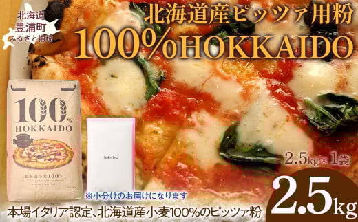 100% HOKKAIDO ピッツァ用粉 2.5kg 【 ふるさと納税 人気 おすすめ ランキング 小麦粉 パン ピザ ピッツァ 国産 北海道 HOKKAIDO 自宅用 江別製粉 北海道 豊浦町 送料無料 】 TYUAI022 2112084 - 北海道豊浦町