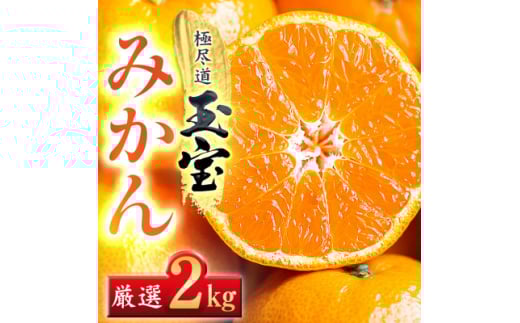 ＜愛媛名産＞玉宝みかん 2kg＜A64-84＞【1623967】 2116254 - 愛媛県八幡浜市