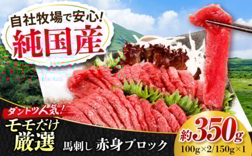 『純国産』熊本の味 赤身 馬刺し 約350g ブロック 冷凍 タレ付き【有限会社 九州食肉産業】 [AYCN043] 2114908 - 熊本県合志市