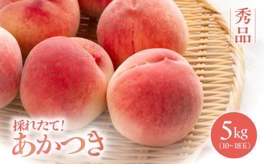【南信州産】あかつき　約5kg 　秀品 | あかつき 桃 もも モモ 果物 くだもの フルーツ ジューシー 信州 南信州 送料無料 ふるさと納税 長野県 飯田市 2096147 - 長野県飯田市