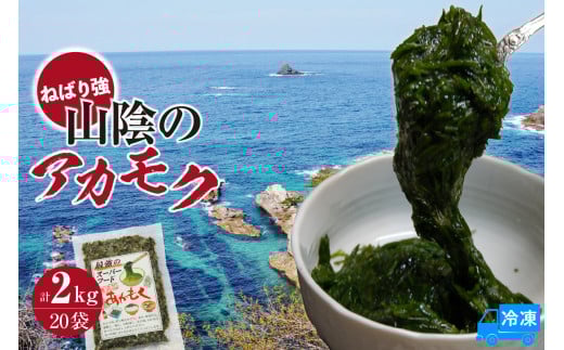 【無添加スーパーフード ねばり強 山陰のアカモク 100g×20袋 冷凍】ご入金確認後、順次発送予定 高鮮度3D凍結 鮮度抜群 国産 濃厚 あかもく ふるさと納税 おすすめ 返礼品 香美町 香住 山米鮮魚 30000円 74-25 2135748 - 兵庫県香美町