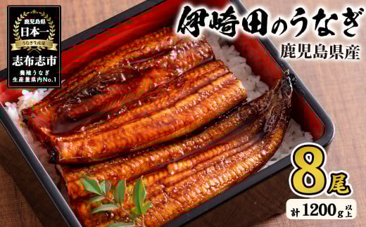 【数量限定】鹿児島県産 伊崎田のうなぎ蒲焼 中＜150g以上＞× 8尾(計1200g以上) 鰻 うなぎ ウナギ 蒲焼き 8尾 国産 九州産 鹿児島県産 冷凍 おつまみ 鰻重 うな丼 e1-001