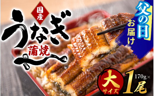 　【父の日】大型サイズふっくら柔らか国産うなぎ蒲焼き1尾 約2人前 化粧箱入 / ウナギ 鰻 うなぎ蒲焼 ひつまぶし うな丼 うな重 国産 プレゼント 贈答 父の日【uot714-pp】 2115723 - 和歌山県由良町