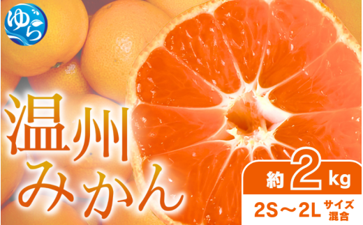 【先行予約】農家直送 和歌山県由良町産 温州みかん 約2kg 2S～2Lサイズ混合 ※2025年11月中旬頃～2025年12月中旬頃に順次発送 / 農家直送 くだもの  果実  柑橘 果物 フルーツ 国産 和歌山県 由良町 ご家庭用 人気 おすすめ【nktn015】 2115927 - 和歌山県由良町