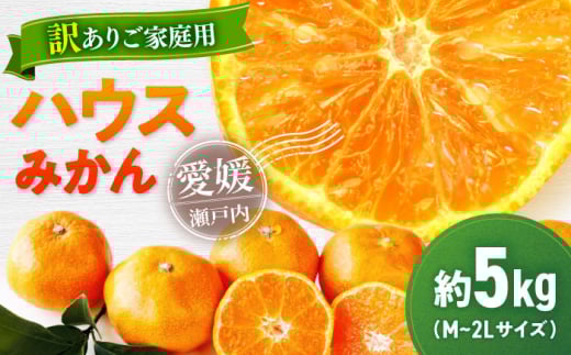 【先行予約】【夏限定】【ご家庭用】愛媛県産 峯田農園のあま〜い「ハウスみかん」5kg　大玉（M,L,2Lサイズ混合）愛媛県大洲市/峯田農園　 [AGBT020]