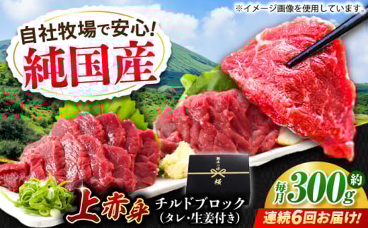 【全6回定期便】『純国産』熊本の味 上赤身 馬刺し 約200g ブロック チルド 冷蔵 タレ付き【有限会社 九州食肉産業】 [AYCN038]