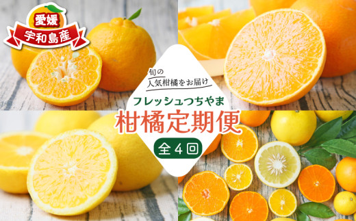 みかん定期便 柑橘定期便 全 4回 家庭用 愛果28号 ポンカン おまかせ詰合せ 黄金柑 フレッシュつちやま 果物 くだもの フルーツ 柑橘 愛媛みかん みかん mikan 蜜柑 プレゼント ギフト 産地直送 数量限定 国産 愛媛 宇和島 B048-096021 1307238 - 愛媛県宇和島市