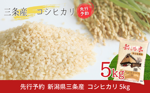 先行予約 新潟県三条産コシヒカリBL 5kg×1袋 令和7年産コシヒカリ 精米 新潟県産コシヒカリ 【016S082】 2114343 - 新潟県三条市